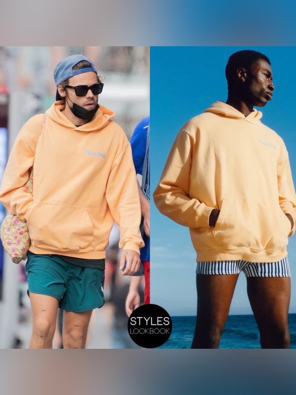 🆕 NWOT Harry Styles Pleasing | Coachella 2022 Exclusive Limited Release Hoodie